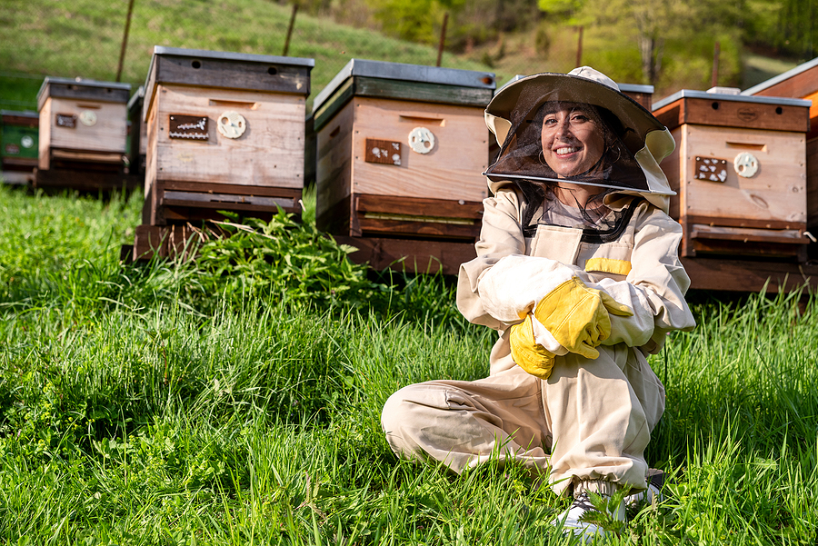 what-is-a-group-of-bees-called-and-how-do-they-function-eagle-pest